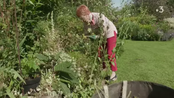 Mon jardin en Normandie - épisode 14 : le jardin de la Motte, raconté par Monique Vasse