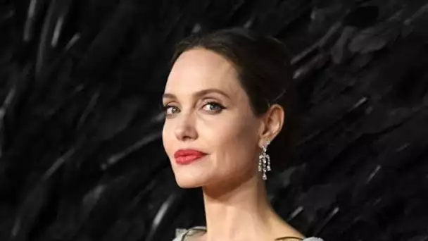 Angelina Jolie : cet incroyable métier qursquo;elle a failli exercer