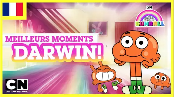 Le Monde Incroyable de Gumball | Les meilleurs moments de Darwin 🐟 (2/2)