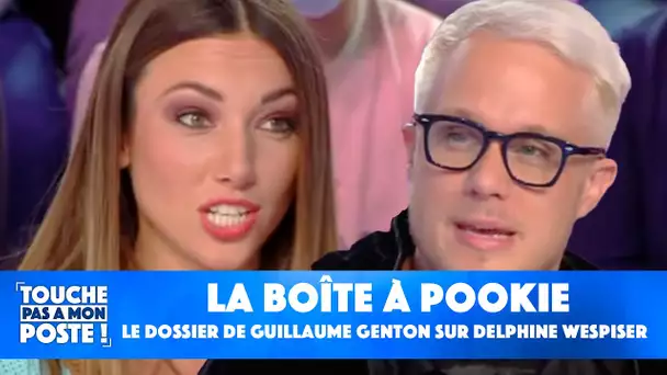 La boîte à Pookie : l'énorme dossier de Guillaume Genton sur Delphine Wespiser !