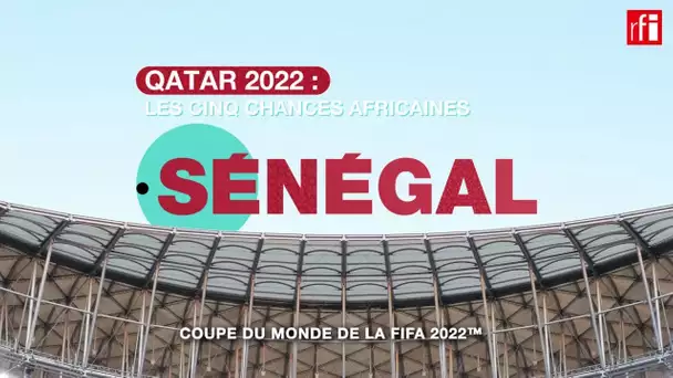 Qatar 2022 (1) : le Sénégal • RFI
