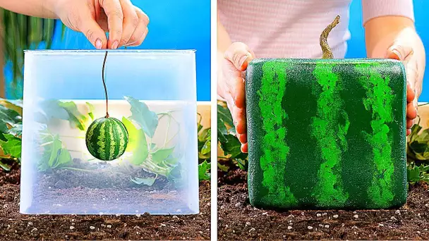 19 INCROYABLES IDÉES POUR LES PLANTES || ASTUCES DIY DE JARDINAGE QUE TU DEVRAIS CONNAÎTRE