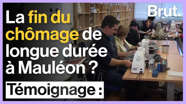 Territoire zéro chômeur : à Mauléon, la fin du chômage de longue durée ?