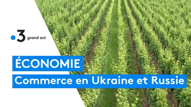 Guerre en Ukraine : que pèse le commerce entre l'Alsace, l'Ukraine et la Russie ?