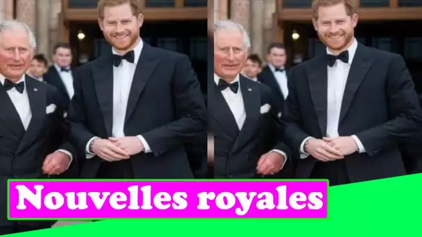 Le prince Harry "risque de manquer d'alliés alors qu'il continue de blesser sa famille"