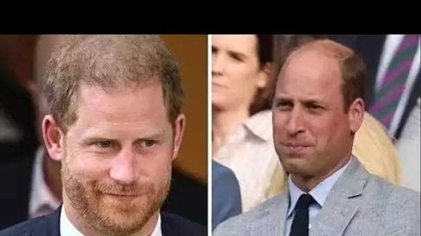 Le prince Harry et William «n'ont jamais été de très bons amis» alors que la chance de paix «navigua