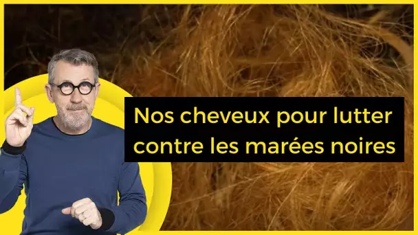 Nos cheveux pour lutter contre les marées noires - C Jamy