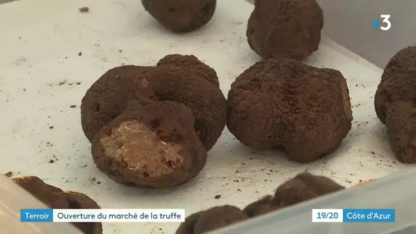 Au marché de la truffe d'Aups, les prix ont grimpé en flèche