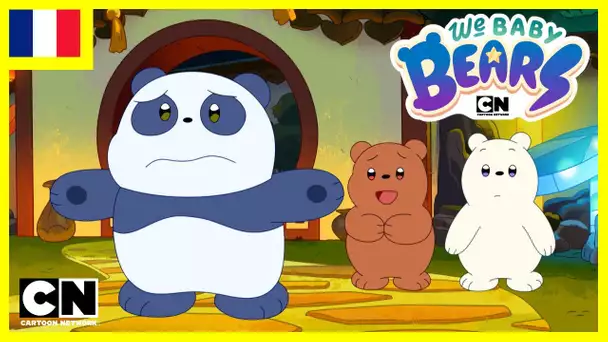 We Baby Bears en français 🇫🇷 | La Famille de Panda