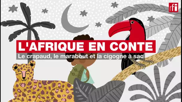 #Podcast #Afriqueencontes - Le crapaud, le marabout et la cigogne à sac