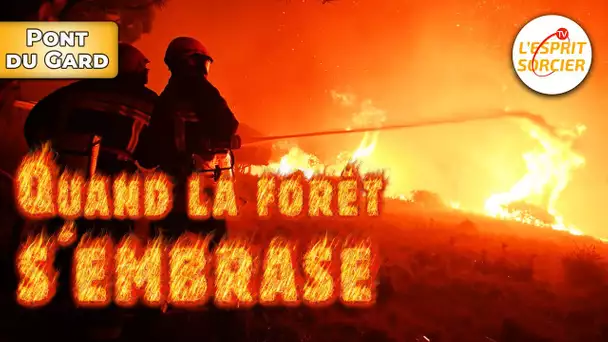 Comment lutter contre les feux de forêt ? - L'Esprit Sorcier