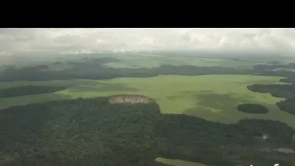 Gabon : plaine littorale près de Libreville