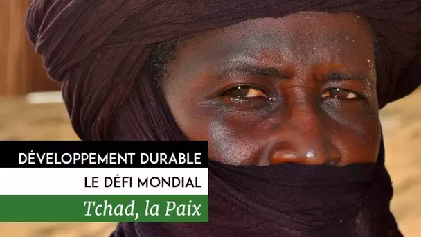 Développement durable, le défi mondial - Tchad, la paix, la prévention des risques et des conflits