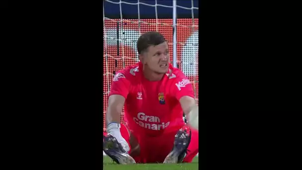 HORKAS saves the penalty 🛑