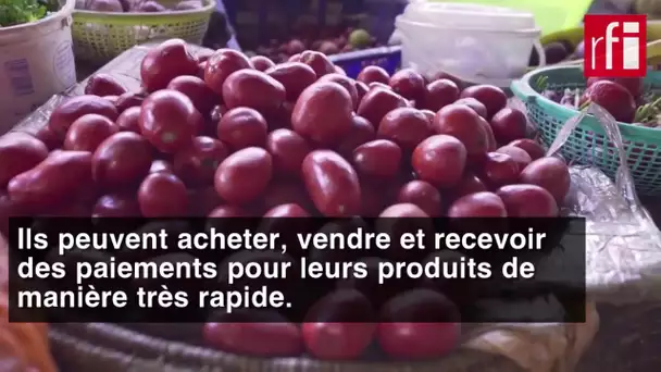 «2Kuze», l'application qui facilite les échanges de produits agricoles au Kenya