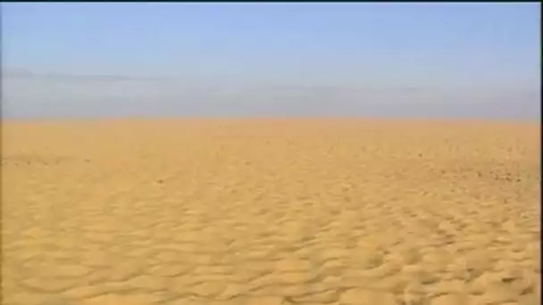 Tunisie : Dunes à l'infini