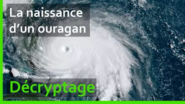 Comment se forme un ouragan ?