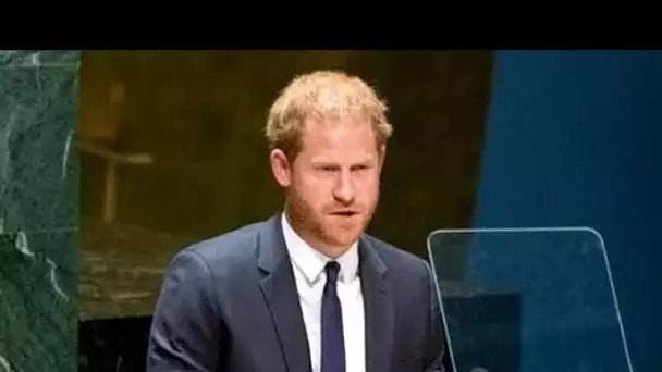 Les mémoires du prince Harry présagent d'une "chute de choc" soudaine et d'un "bombardement" de révé