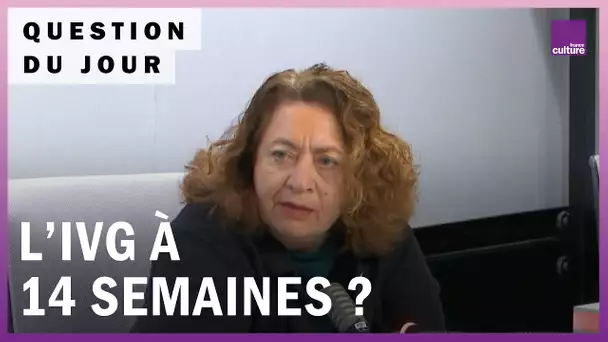 IVG : que peut changer un allongement du délai légal à 14 semaines ?