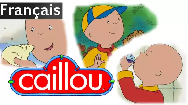 Caillou Français - Caillou adore ses amis! | conte pour enfant