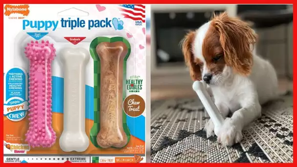 Nylabone Puppy Chew Variety Toy & Treat Triple Pack Pink Bone Small/Regular (3 Count)