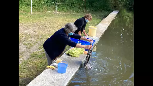 Les Lavandières de Riantec font de la résistance. Leur lavoir risque de disparaître.