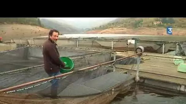 Sécheresse: le lac artificiel de Villefort (Lozère) au plus bas