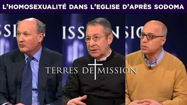 Terres de Mission n°121 : l’homosexualité dans l’Eglise d’après Sodoma