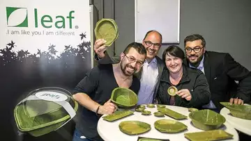 Des assiettes en feuilles pour lutter contre la pollution !