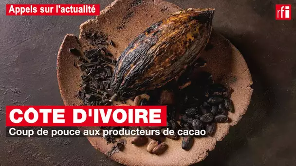 Côte d'Ivoire : coup de pouce aux producteurs de cacao