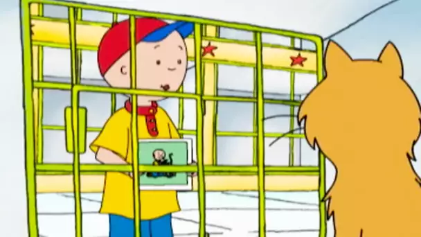 Caillou et le Chat Perdu | Caillou en Français