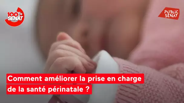 Périnatalité : les fédérations hospitalières auditionnées