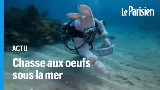 Insolite : une chasse aux œufs... sous la mer