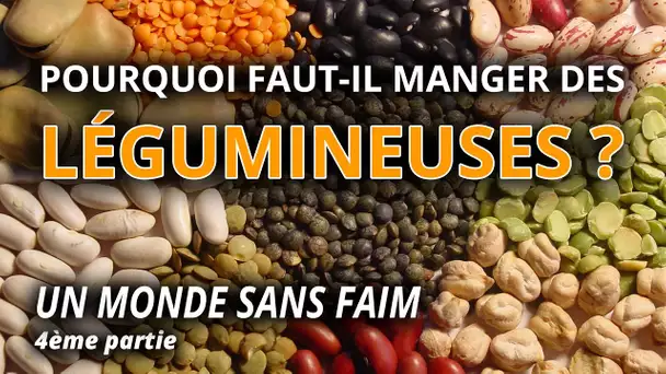 Pourquoi faut-il manger des légumineuses ? - L'Esprit Sorcier