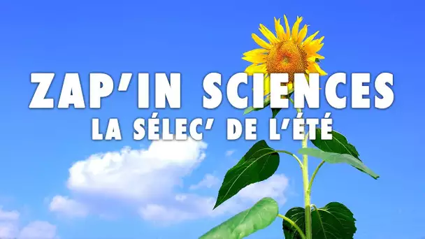 Zap'In Sciences : La sélec' de l'été - L'Esprit Sorcier