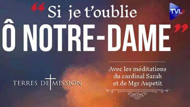 Notre-Dame : n'oublions pas ! - Terres de Mission n°169 - TVL