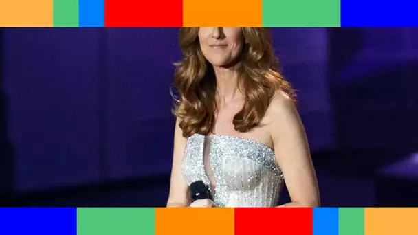 🔥  Céline Dion superbe en robe décolletée, promet "une fabuleuse annonce" !