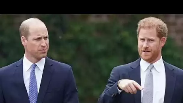 Le souhait en un mot du prince Harry qui a ruiné toute chance de relation avec son frère William