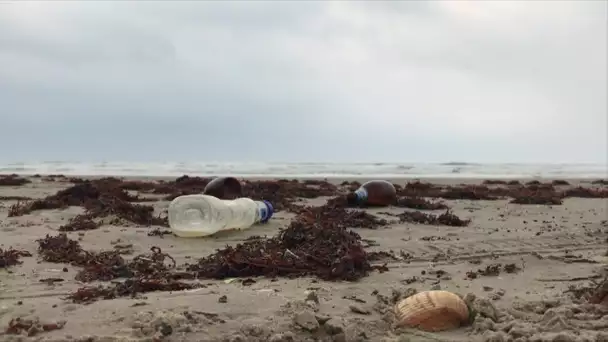 Pollution en Méditerranée : 98% des échantillons prélevés contiennent du plastique