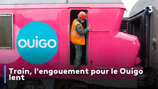 Train, l'engouement pour le Ouigo lent