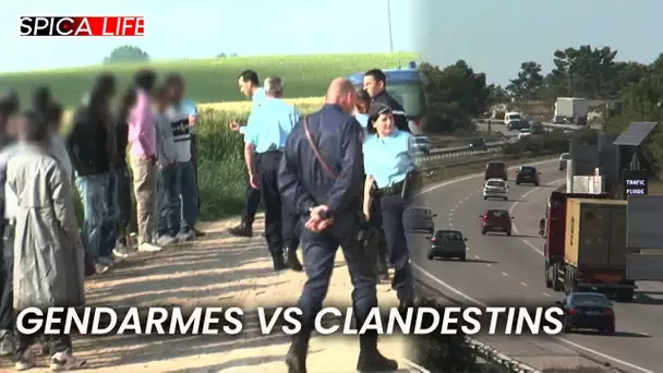 Confrontation explosive sur l'autoroute : face à face tendu entre gendarmes et clandestins