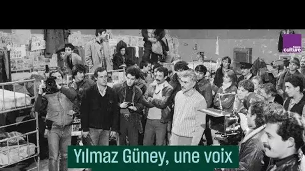 Yılmaz Güney, une voix pour les Kurdes