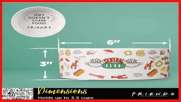 Warner Bros Friends TV Show Ceramic Dog Food Bowl, Multiple Styles