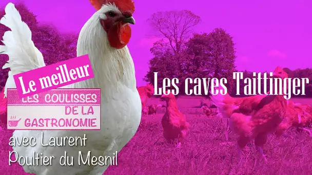 Les caves Taittinger - Le meilleur des coulisses de la gastronomie - TVL