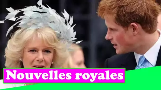 Le lien « tendu » de Camilla avec Harry pourrait figurer dans ses mémoires – « pourrait être très do