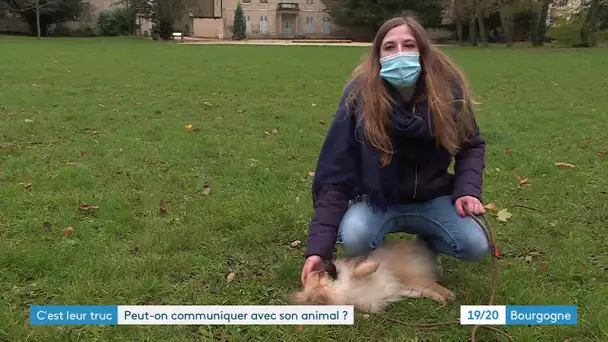 Éducation canine, communication et méditation : le bien-être animal au cœur de nouvelles pratiques