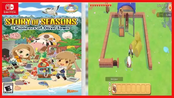 Story of Seasons: Pioneers of Olive Town - Nintendo Switch