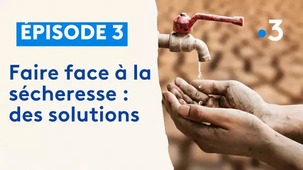 Des solutions pour faire face à la sécheresse