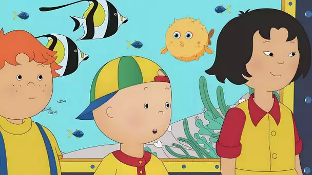 Allons à l'Aquarium! | Caillou | WildBrain Enfants