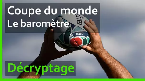 Coupe du monde de rugby 2019 : le baromètre après la 1ere journée